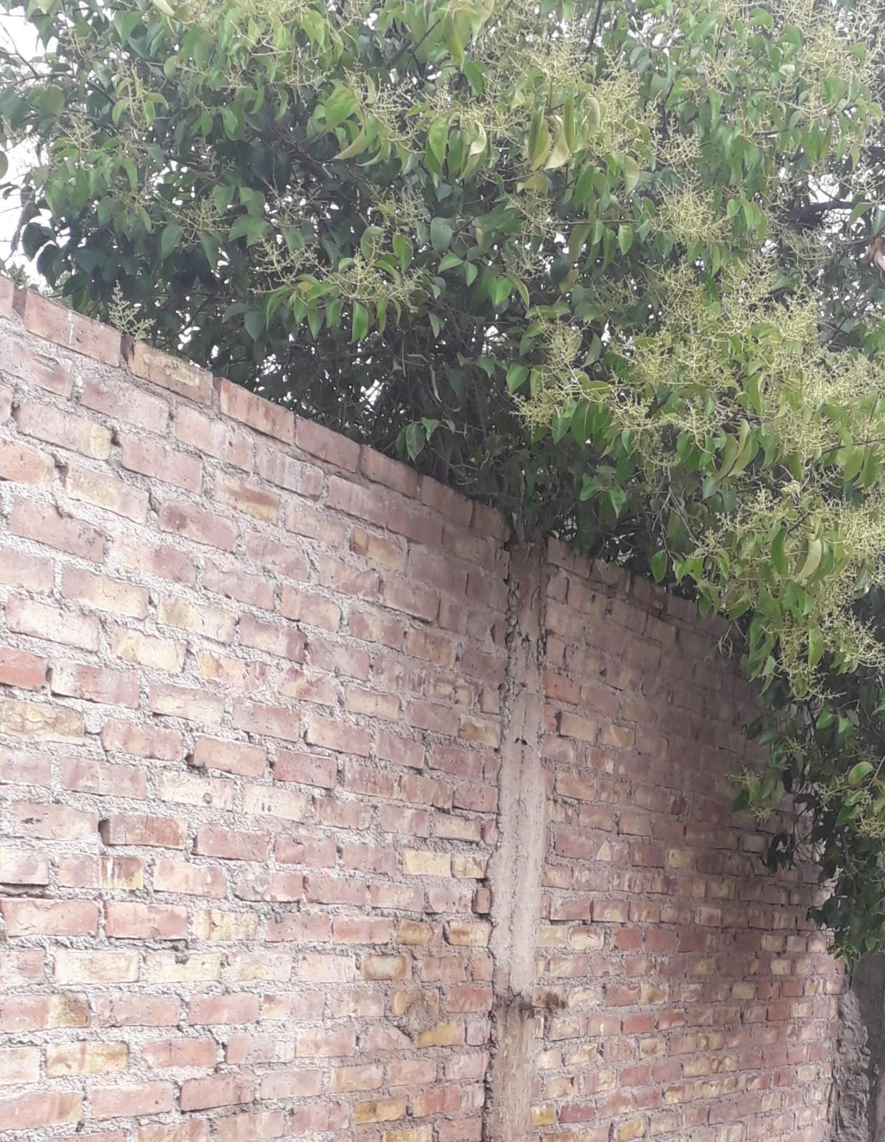 image01